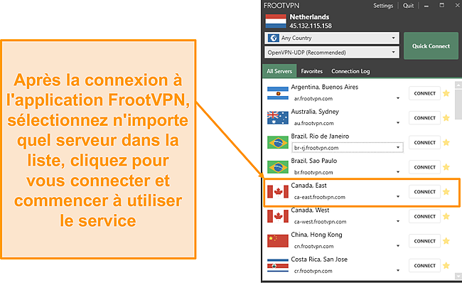 Capture d'écran de l'interface de l'application Windows FrootVPN.