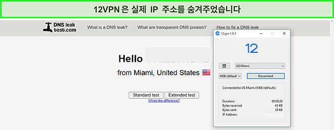 DNS 누출 테스트를 통과한 12VPN의 심사.