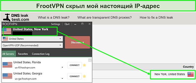 Скриншот FrootVPN, прошедшего тесты на утечку DNS.