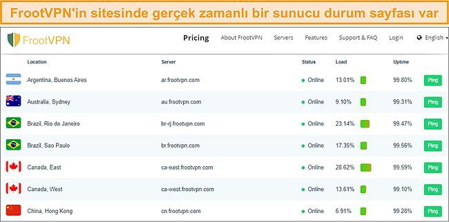 FrootVPN'in sunucu durumu sayfasının ekran görüntüsü.