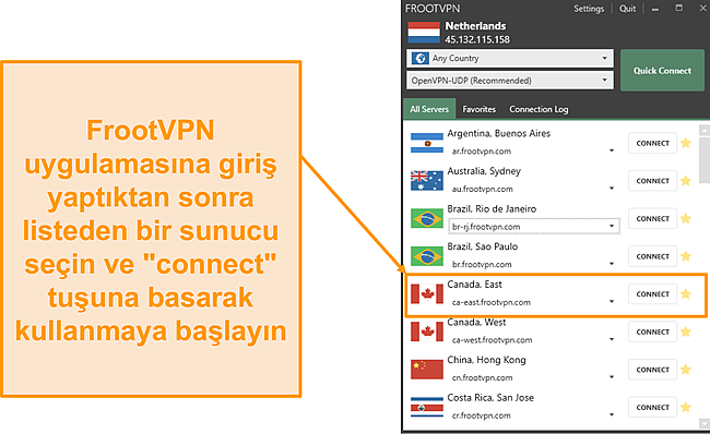 FrootVPN Windows uygulama arayüzünün ekran görüntüsü.