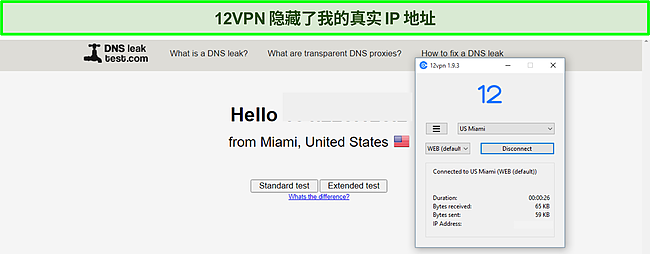 筛选通过 DNS 泄漏测试的 12VPN。