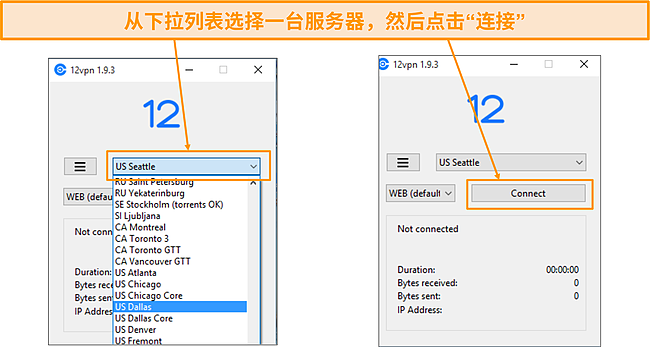 12VPN Windows 本机应用程序界面的屏幕截图。