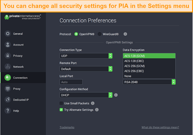 screenshot of the settings tab from the PIA desktop client