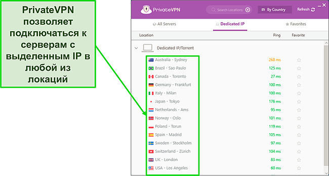 Снимок экрана меню выделенного IP-сервера Private VPN в Windows.