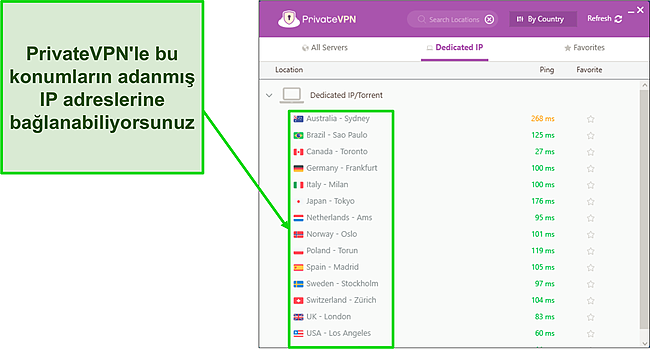 Windows'ta Private VPN Dedicated IP server menüsünün ekran görüntüsü.