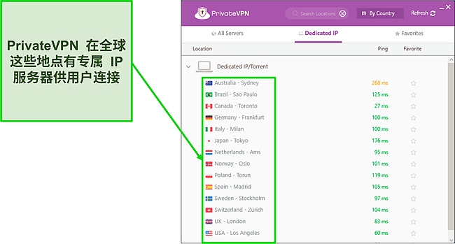 Windows 中 Private VPN 专用 IP 服务器菜单的屏幕截图。