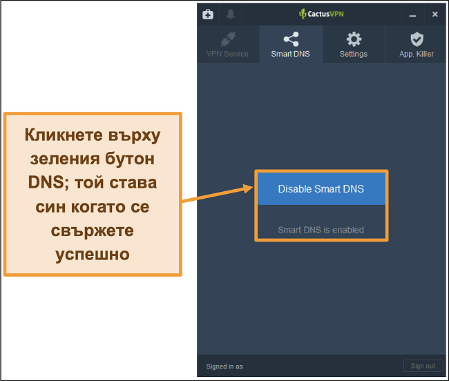 Екранна снимка на интерфейса CactusVPN, показваща как да активирате интелигентния DNS