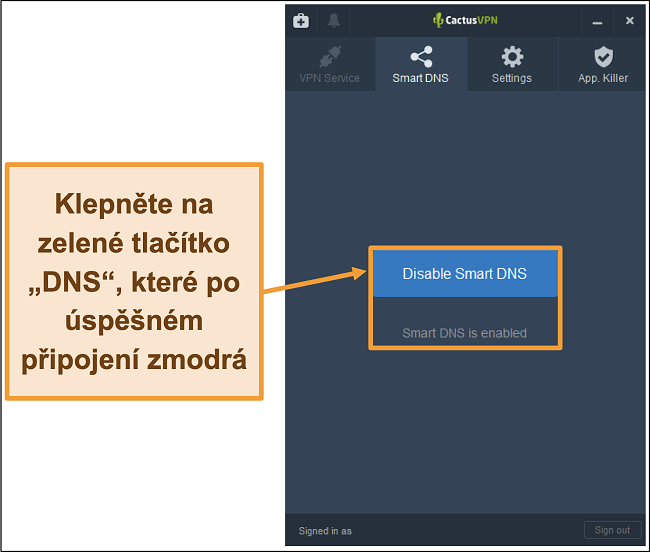 Screenshot rozhraní CactusVPN, který ukazuje, jak povolit inteligentní DNS
