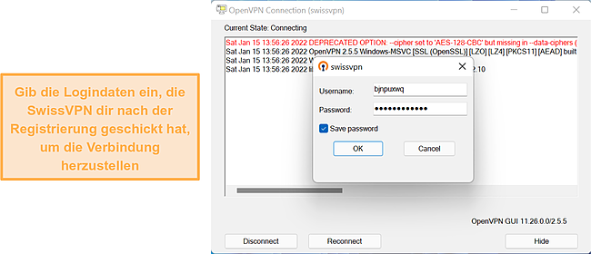 Screenshot, der die OpenVPN-GUI-Anmeldeoberfläche zeigt.