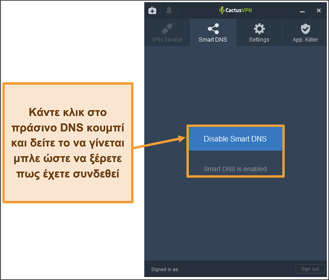 Στιγμιότυπο οθόνης της διεπαφής CactusVPN που δείχνει πώς να ενεργοποιήσετε το έξυπνο DNS