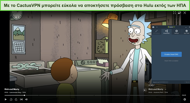 Στιγμιότυπο οθόνης του Rick και του Morty με επιτυχία ροή στο Hulu με συνδεδεμένο το CactusVPN