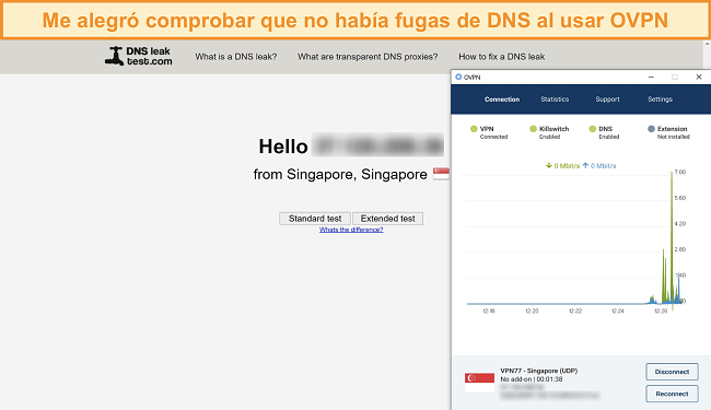 Captura de pantalla de OVPN pasando una prueba de fugas de DNS