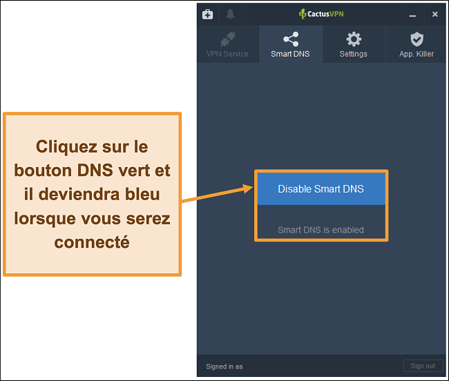 Capture d'écran de l'interface CactusVPN montrant comment activer le DNS intelligent