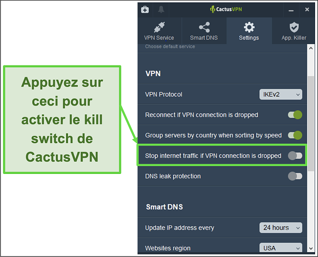 Capture d'écran montrant comment activer manuellement l'interrupteur d'arrêt de CactusVPN