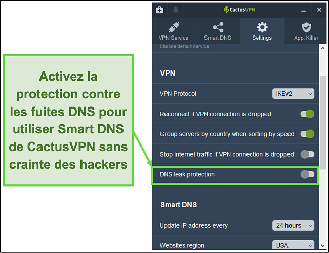Capture d'écran montrant comment activer la protection contre les fuites DNS