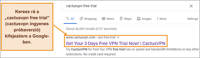 Képernyőkép, amely bemutatja, hogyan lehet megtalálni a CactusVPN ingyenes próbaverzióját a Google-on