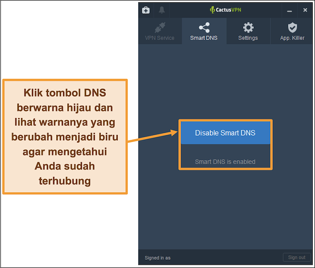 Tangkapan layar antarmuka CactusVPN yang menunjukkan cara mengaktifkan DNS cerdas