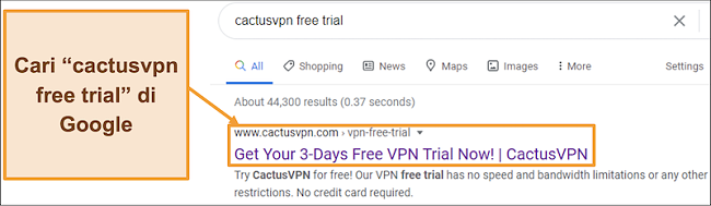 Tangkapan layar menunjukkan cara menemukan uji coba gratis CactusVPN di Google