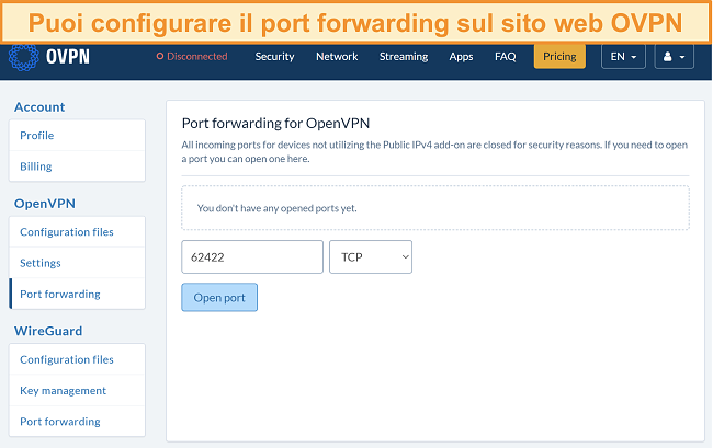 Screenshot dell'opzione di port forwarding su OVPN