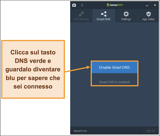 Screenshot dell'interfaccia di CactusVPN che mostra come abilitare il DNS intelligente