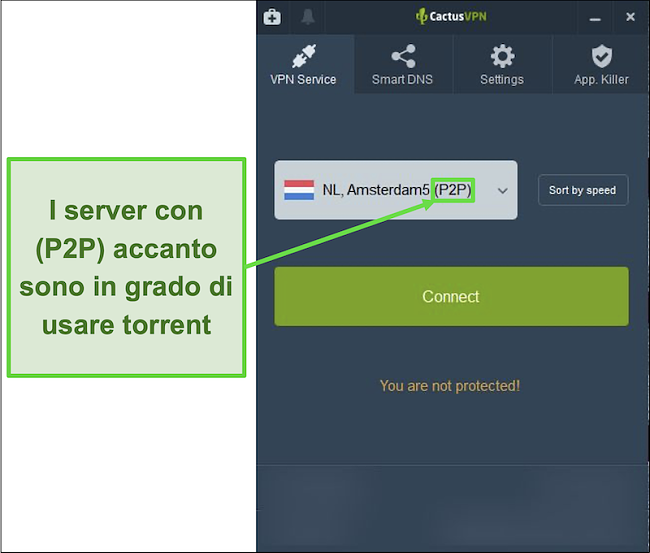 Screenshot che mostra quali server sono in grado di eseguire il torrenting