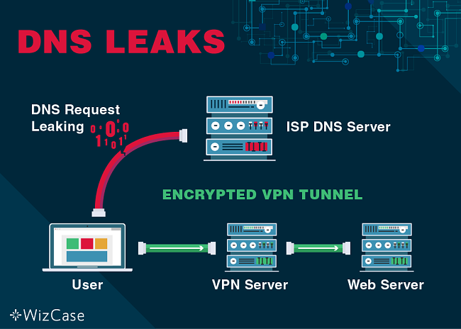 Screenshot of DNS request leaking