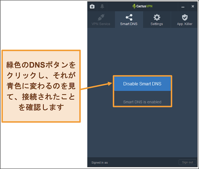 スマートDNSを有効にする方法を示すCactusVPNインターフェースのスクリーンショット