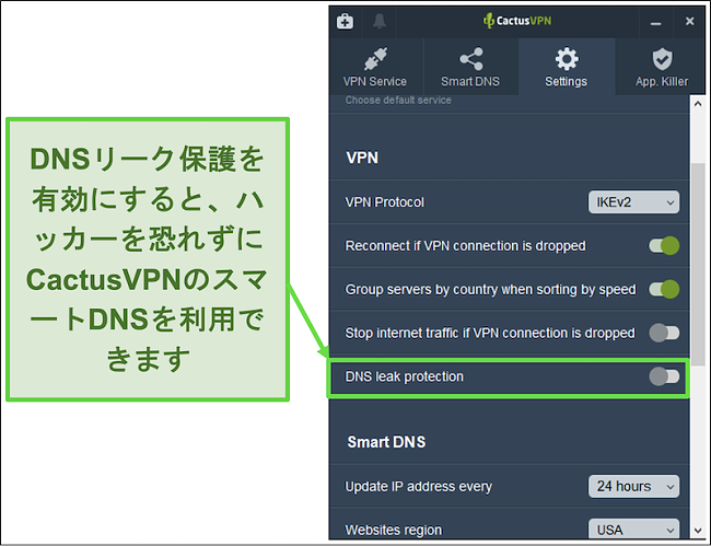 DNSリーク保護を有効にする方法を示すスクリーンショット