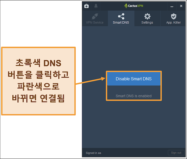 스마트 DNS를 활성화하는 방법을 보여주는 CactusVPN 인터페이스 스크린 샷