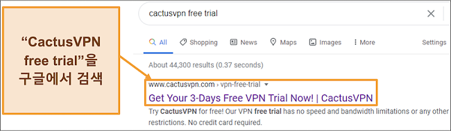 Google에서 CactusVPN 무료 평가판을 찾는 방법을 보여주는 스크린 샷