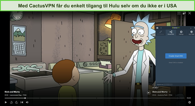 Skjermbilde av Rick og Morty strømmet vellykket på Hulu med CactusVPN tilkoblet