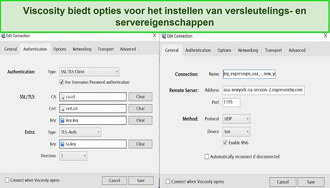 Schermafbeelding met de interface voor servereigenschappen en coderingsopties van Viscosity