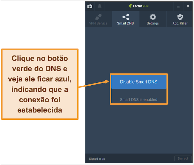 Captura de tela da interface CactusVPN mostrando como habilitar o DNS inteligente