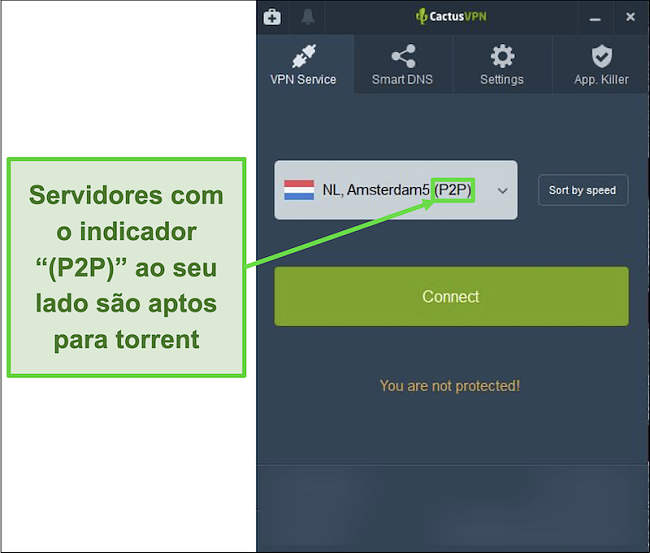 Captura de tela mostrando quais servidores são capazes de fazer torrents