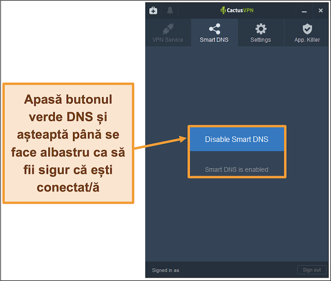 Captură de ecran a interfeței CactusVPN care arată cum se activează DNS inteligent