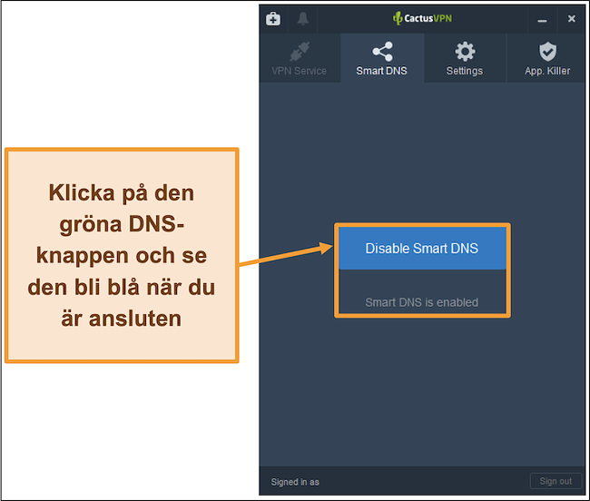Skärmdump av CactusVPN-gränssnittet som visar hur du aktiverar smart DNS