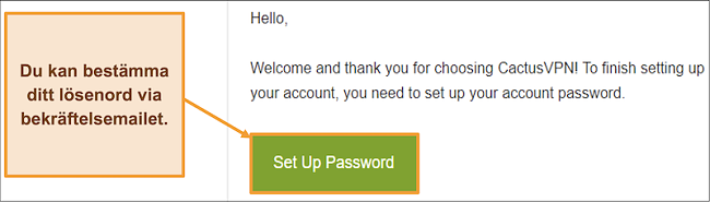 Skärmdump som visar e-postbekräftelse från CactusVPN för att skapa ett lösenord för ditt konto