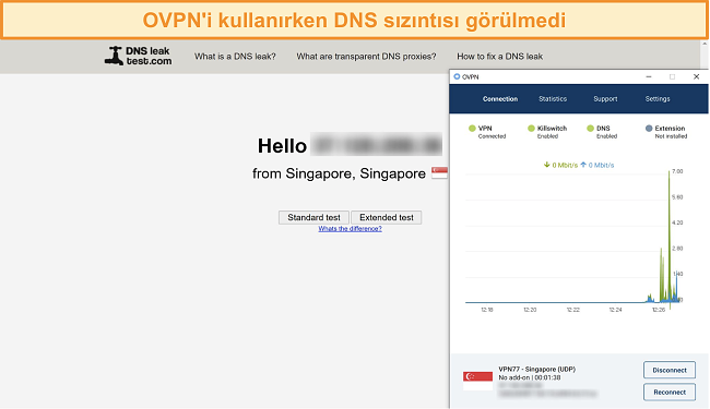 DNS sızıntı testini geçen OVPN'in ekran görüntüsü