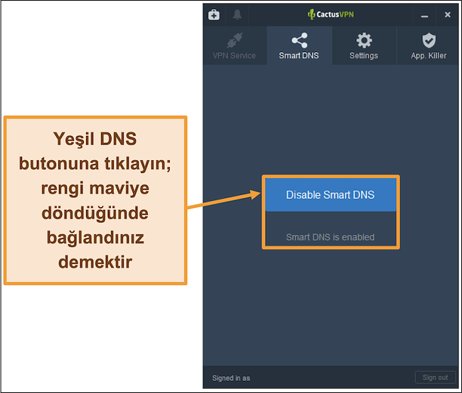 Akıllı DNS'nin nasıl etkinleştirileceğini gösteren CactusVPN arayüzünün ekran görüntüsü