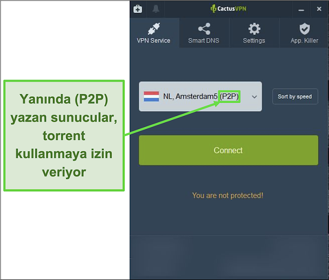 Hangi sunucuların torrent kullanabildiğini gösteren ekran görüntüsü