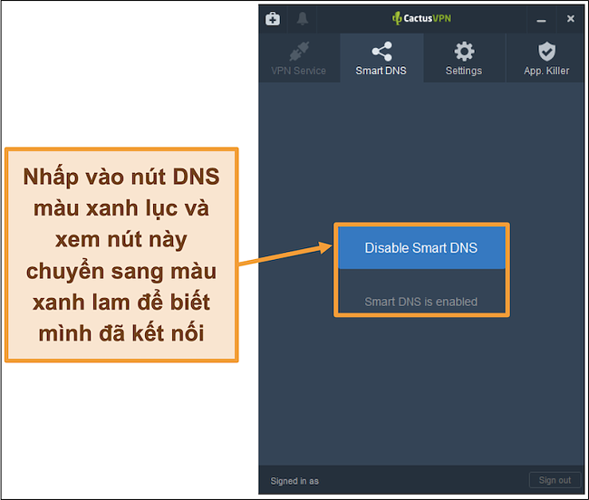 Ảnh chụp màn hình giao diện CactusVPN hiển thị cách bật DNS thông minh