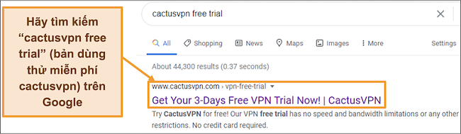 Ảnh chụp màn hình hiển thị cách tìm bản dùng thử miễn phí CactusVPN trên Google