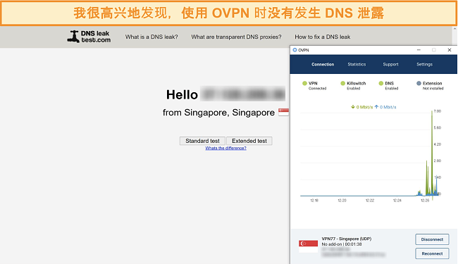 OVPN通过DNS泄漏测试的屏幕截图