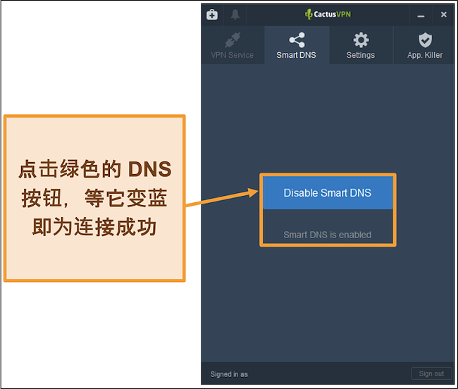 CactusVPN界面屏幕截图，显示了如何启用智能DNS