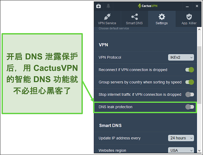 屏幕截图显示了如何启用DNS泄漏保护