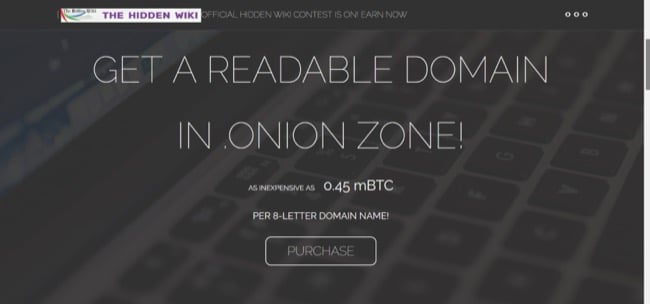 Image de la page d'accueil d'Onion.name