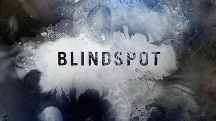 Screenshot of Blindspot