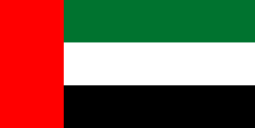 United Arab Emirates flag