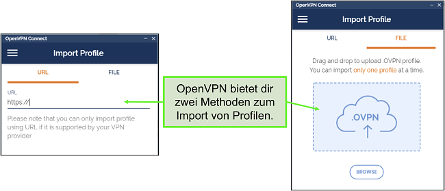 Screenshot der beiden Möglichkeiten zum Importieren von Serverprofilen in die OpenVPN-Benutzeroberfläche.